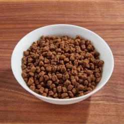 IAMS Proactive Health With Chicken Kitten Premium Dry Cat Food 9 IAMS Proactive Health With Chicken Kitten Premium Dry Cat Food -BlueBuffalo Sales Store GUEST 816eddfe 3220 465c a881 92a12eecdc42