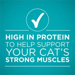 Purina ONE Turkey Wet Cat Food - 3oz 17 Purina ONE Turkey Wet Cat Food - 3oz -BlueBuffalo Sales Store GUEST 82f8e046 673f 4f23 8d8b e9bc912b8eec