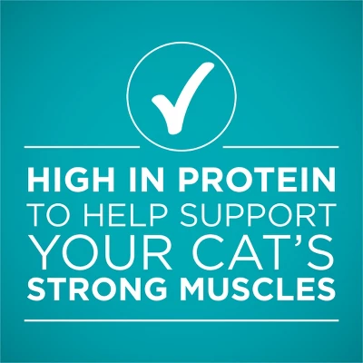 Purina ONE Turkey Wet Cat Food - 3oz 7 Purina ONE Turkey Wet Cat Food - 3oz - Image 7