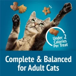 Friskies All Ages Seafood Flavor Crunchy Cat Treats - 6oz -BlueBuffalo Sales Store GUEST 8333487f afeb 4c30 a872 7e8a0460435b