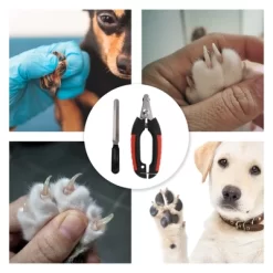 Unique Bargains Durable Pet Nail Clippers With File Red Black 1 Set -BlueBuffalo Sales Store GUEST 871db859 aa8e 4f82 863d 27c0045aaa02