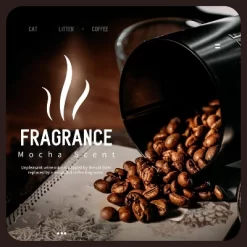 All For Paws Allforpaws Cat Litter Natural 5-in-1 Mixed Clumping Cat Litter With 24/7 Power Odor Control, 5.5lb -BlueBuffalo Sales Store GUEST 8925e45b e0a0 4c59 a3d4 7a7e66ce3225