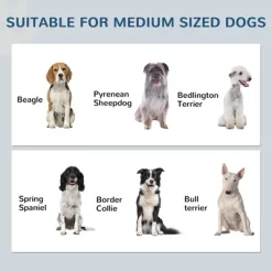 Akoasm Storable Dog Feeding Station & Cabinet With Hooks, Adjustable Panel And Removable Hidden Dog Bowls For Medium Dog-White 14 Akoasm Storable Dog Feeding Station & Cabinet With Hooks, Adjustable Panel And Removable Hidden Dog Bowls For Medium Dog-White -BlueBuffalo Sales Store GUEST 895f656d 4511 4d2d bb5d 2d591dbe202d