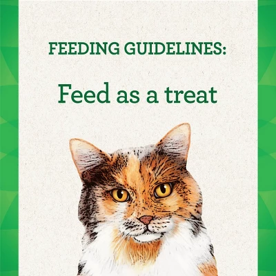 Greenies Feline Pill Pockets Salmon Cat Treats 5 Greenies Feline Pill Pockets Salmon Cat Treats - Image 5