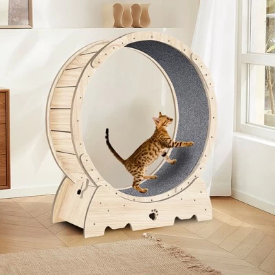 Whisen Cat Exercise Wheel With Carpeted Runway 1 Whisen Cat Exercise Wheel With Carpeted Runway