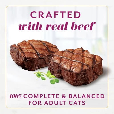 Fancy Feast Gems Beef Flavor Adult Wet Cat Food - 2oz/2ct 4 Fancy Feast Gems Beef Flavor Adult Wet Cat Food - 2oz/2ct - Image 4