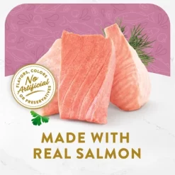 Purina Fancy Feast Lickable Broths Classic Wet Cat Food - 1.4oz -BlueBuffalo Sales Store GUEST 8c8a3d12 6290 4853 a12f 24d75ff98f69