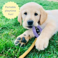 Sweet Paws Silicone Teether Stack Toy Set -BlueBuffalo Sales Store GUEST 8fe8be69 c3c0 4f9f 80de 74da5a4db0c8 1