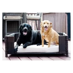 Iconic Pet Beds For Dogs And Cats - Rattan Rectangular Sofa 17 Iconic Pet Beds For Dogs And Cats - Rattan Rectangular Sofa -BlueBuffalo Sales Store GUEST 901c0921 b79e 4344 b337 baaccc7c0b23 1