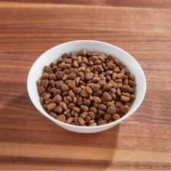 IAMS Proactive Health Hairball Care With Chicken & Salmon Adult Premium Dry Cat Food -BlueBuffalo Sales Store GUEST 92072f47 4d85 4361 8ba2 0e63297325c3