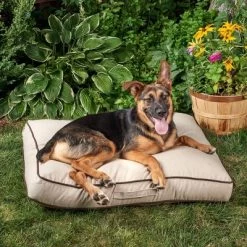 Winn + Willow Sadie Piping Dog And Cat Bed - Beige And Chocolate -BlueBuffalo Sales Store GUEST 922abe88 db09 42ab 8f1b 728879993a4d