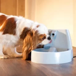 PetSafe Original Fountain 8 PetSafe Original Fountain -BlueBuffalo Sales Store GUEST 926db689 ef0a 4869 8de3 cf8cee10a495