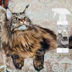 The Blissful Cat Shine-On + Sheen Coat Spray