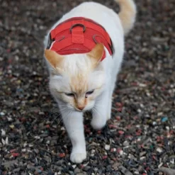 Unique Bargains Cat Harness And Leash With Reflective Strips Large Red 1 Set -BlueBuffalo Sales Store GUEST 956999c1 8cad 4ec0 b2be c21acadbdaf5