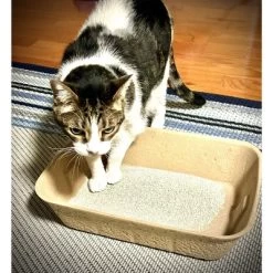 Midlee Disposable Cat Litter Boxes Pack Of 5- Travel Portable Pet Tray Liner