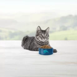 Blue Buffalo Tastefuls With Chicken Natural Kitten Dry Cat Food -BlueBuffalo Sales Store GUEST 962183f1 da0d 4b1a bca3 e546b8c25672 2