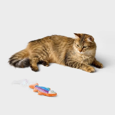 Shimmery Fish Kicker Cat Plush Toy - Boots & Barkley™ 1 Shimmery Fish Kicker Cat Plush Toy - Boots & Barkley™