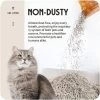 All For Paws Allforpaws Cat Litter Natural 5-in-1 Mixed Clumping Cat Litter With 24/7 Power Odor Control, 5.5lb