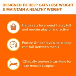 IAMS Weight And Appetite Management Chicken Flavor Dry Cat Food - 7lbs 9 IAMS Weight And Appetite Management Chicken Flavor Dry Cat Food - 7lbs -BlueBuffalo Sales Store GUEST 9a31afd8 610f 42d5 be54 67c910633e2f