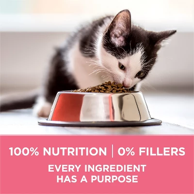 Purina ONE Healthy Kitten Formula Natural Chicken Flavor Dry Cat Food - 3.5lbs 3 Purina ONE Healthy Kitten Formula Natural Chicken Flavor Dry Cat Food - 3.5lbs - Image 3