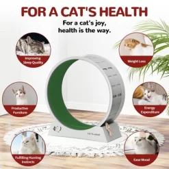 Sandinrayli Cat Wheel For Indoor Cats Exercise Running Wheel Cat Treadmill With Brake & Carpeted Runway -BlueBuffalo Sales Store GUEST 9b897752 def1 4597 8d64 31637cce55d5