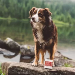 Fera Pet Organics Cardiac Heart Support Powder For Dogs And Cats - Fish Flavor -BlueBuffalo Sales Store GUEST 9dab2347 7d92 4bae bc96 f551fb1b8903