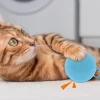 Unique Bargains Interactive Cat Playing Ball With Bell