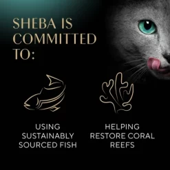 Sheba Perfect Portions Pate Fish, Seafood, Tuna, Beef And Chicken Flavor Variety Pack Wet Cat Food - 2.6oz/36ct -BlueBuffalo Sales Store GUEST a20079fd 190c 4f5c 8784 5e8986ba7df2