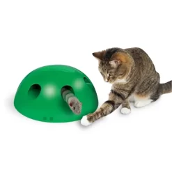 Pets Know Best Pop N' Play Cat Toy 14 Pets Know Best Pop N' Play Cat Toy -BlueBuffalo Sales Store GUEST a2141af4 f2c1 49b7 9409 e21cc55fce4b