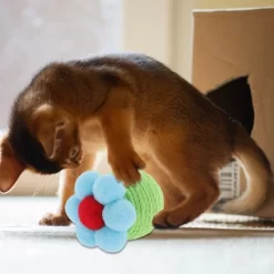 Unique Bargains Interactive Cat Playing Ball -BlueBuffalo Sales Store GUEST a270033a fb8a 4cb6 b86b c63a7d843ece 1