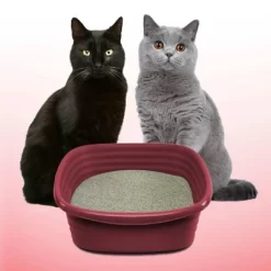 Arm & Hammer Clump & Seal Multi-Cat Litter -BlueBuffalo Sales Store GUEST a31faa07 154b 4c6f ba11 6f53b8198e79