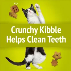 Purina Friskies Party Mix Crunch Morning Munch Chicken Flavor Cat Treats - 2.1oz -BlueBuffalo Sales Store GUEST a37a3f34 0ba8 4cd2 9c53 9d8104c41b21