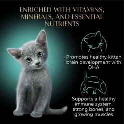 Sheba Perfect Portions Chicken Flavor Soft Pate Kitten Wet Cat Food - 2.64oz -BlueBuffalo Sales Store GUEST a45d0f16 21f7 487f abe9 b7c4981b0fc7