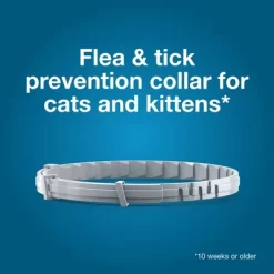 Seresto Flea & Tick Cat Insect Prevention Collar -BlueBuffalo Sales Store GUEST a5b65892 93d1 4854 aedd c36bd6beb5d2