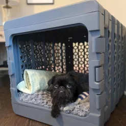 KindTail PAWD Cat And Dog Crate -BlueBuffalo Sales Store GUEST a616be40 6b42 433b a181 d562e89bc683