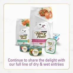 Purina Fancy Feast With Chicken & Turkey Adult Gourmet Dry Cat Food - 48oz -BlueBuffalo Sales Store GUEST a7c11cb6 b878 460a aed5 ffaa91b733c8