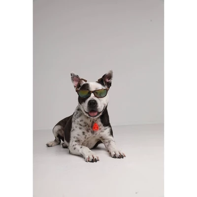 Tickless Natural Flea & Tick Repellent For All Dog Sizes - Orange 4 Tickless Natural Flea & Tick Repellent For All Dog Sizes - Orange - Image 4