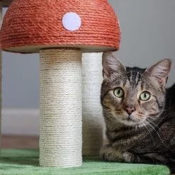 Pixie 3-Tier Cottage Sisal Mushroom Cat Tree With Scratching Posts, Napping Perch, And Dangling Bell Toy -BlueBuffalo Sales Store GUEST ab2f45ff 31a4 4317 884e 82d78805c080