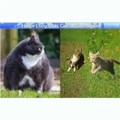 5 Star Super Deals 360 Interactive Cat Mouse Toy - Random Rotating Mouse Teaser Toy W/ Peekaboo Domes - Exercise Cat Toy -BlueBuffalo Sales Store GUEST ab4b8080 9f2a 4206 9f33 f22d199a9a17