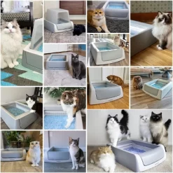 PetSafe ScoopFree Covered Self-Cleaning Cat Litter Box -BlueBuffalo Sales Store GUEST aca487b6 9a36 480a 9789 3f2632539b79 1