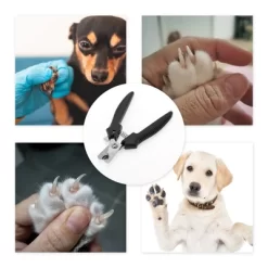 Unique Bargains Durable Short Handle Pet Nail Clippers 4.72"x2.76" 1 Pc -BlueBuffalo Sales Store GUEST ad18b7d1 9cfa 431f a752 91e6b1d79e96