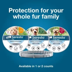 Seresto Flea & Tick Cat Insect Prevention Collar -BlueBuffalo Sales Store GUEST ad98767f 8a13 40fd 9b68 9f33f102b936