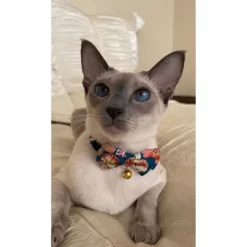 Necoichi Temari Bow Tie Cat Collar -BlueBuffalo Sales Store GUEST b04d51a1 45a6 4dde 899c e52e4bb25777