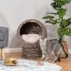 Hand-woven Elevated Cat Bed With Soft Cushion In Cat Egg Chair Shape For Indoor Use In Gray