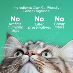 Boxiecat Gently Scented Odor Control Clumping Clay Cat Litter -BlueBuffalo Sales Store GUEST b08e1101 f83f 4243 b5a1 52633e30d43f