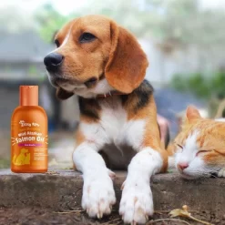 Zesty Paws Skin & Coat Support Wild Alaskan Salmon Oil For Cats And Dogs - 8 Fl Oz -BlueBuffalo Sales Store GUEST b51473f6 e1c5 44c1 9c2a 17876b6706f2