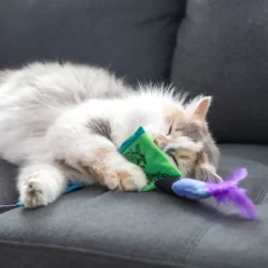 Quirky Kitty Self Care Cat Plush Toy - Purple 8 Quirky Kitty Self Care Cat Plush Toy - Purple -BlueBuffalo Sales Store GUEST b5a8e245 6d33 4e40 96ec dc837ba2198d