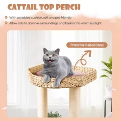 Tangkula 52" Cattail Cat Tower W/ Sisal Scratching Posts Perch Dangling Ball Cat Tree 13 Tangkula 52" Cattail Cat Tower W/ Sisal Scratching Posts Perch Dangling Ball Cat Tree -BlueBuffalo Sales Store GUEST b6456bc3 6018 4e7f ad02 79ed408abc91