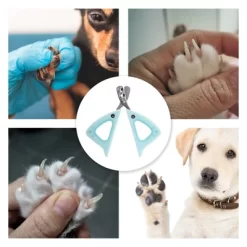 Unique Bargains Durable Double Hole Pet Nail Clippers 4.33"x3.35" 1 Pc 12 Unique Bargains Durable Double Hole Pet Nail Clippers 4.33"x3.35" 1 Pc -BlueBuffalo Sales Store GUEST b6f3c733 6c4b 485d 9f87 9a207aeac933