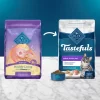Blue Buffalo Tastefuls Active With Chicken Natural Adult Dry Cat Food - 15lbs